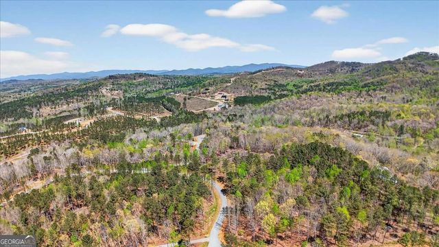 0 Twisted Oak Road LOT 440, Talking Rock, GA 30175