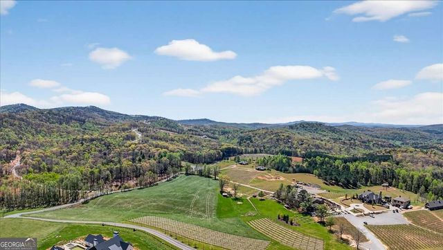 0 Twisted Oak Road LOT 440, Talking Rock, GA 30175