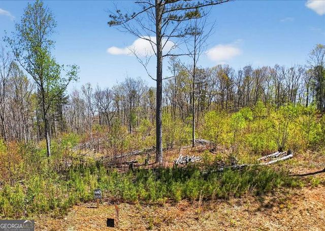 0 Twisted Oak Road LOT 440, Talking Rock, GA 30175
