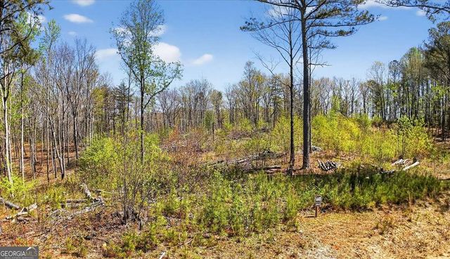 0 Twisted Oak Road LOT 440, Talking Rock, GA 30175