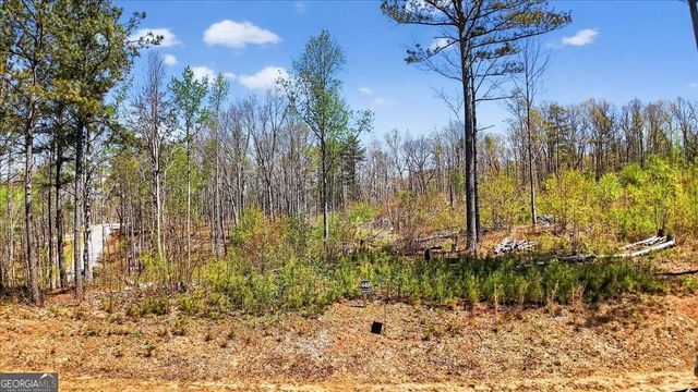 0 Twisted Oak Road LOT 440, Talking Rock, GA 30175