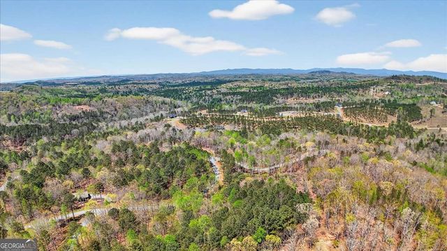 0 Twisted Oak Road LOT 440, Talking Rock, GA 30175