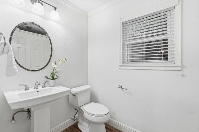 1320 Woodvine Drive, Houston, TX 77055