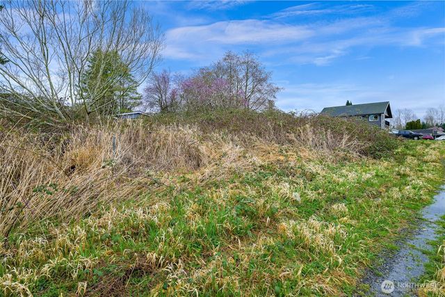 932 Georgia Street, Blaine, WA 98230