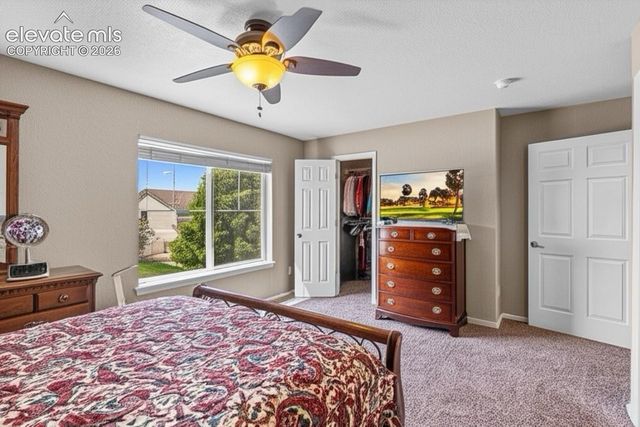 8020 Firecracker Trail, Colorado Springs, CO 80817