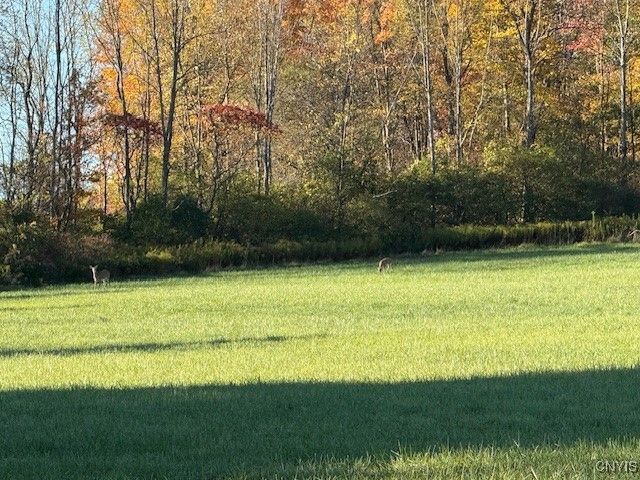 3727 Lyncort Drive, Cortlandville, NY 13045