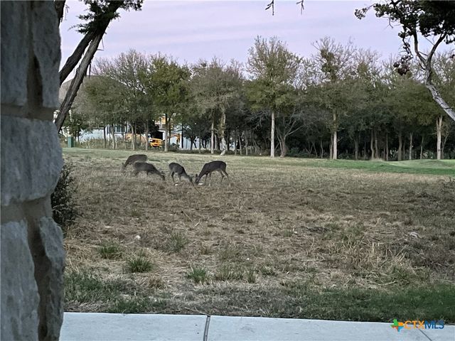 128 Lafitte Drive 102, San Marcos, TX 78666