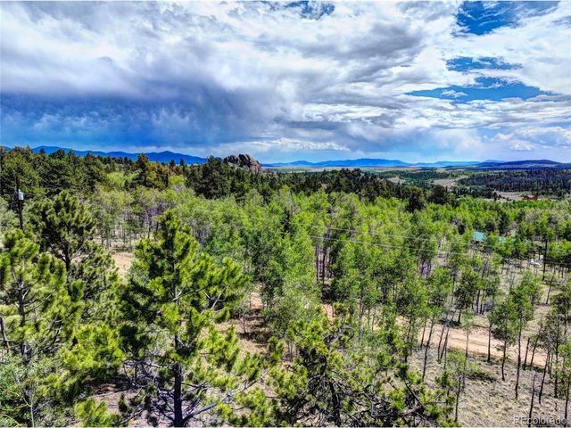 53 Fawn Ct, Como, CO 80432