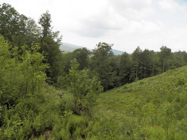 230-022 Thurlow Street, Plymouth, NH 03264