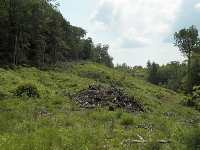230-022 Thurlow Street, Plymouth, NH 03264