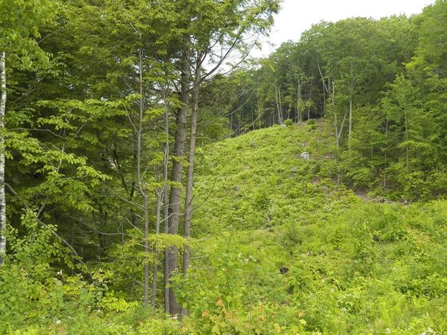 230-022 Thurlow Street, Plymouth, NH 03264