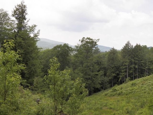 230-022 Thurlow Street, Plymouth, NH 03264