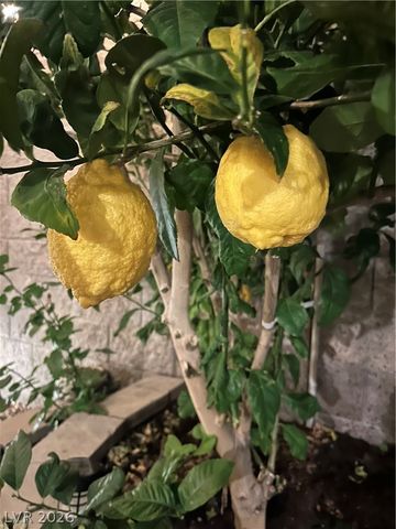 1628 Summer Blush Avenue, Las Vegas, NV 89183