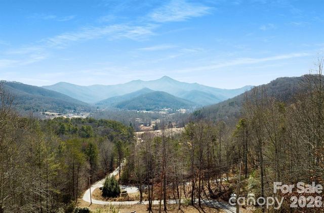 56 Great Horned Owl Road, Candler, NC 28715
