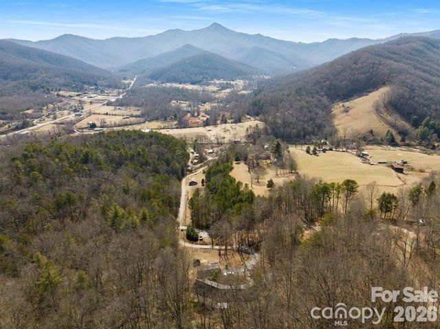 56 Great Horned Owl Road, Candler, NC 28715
