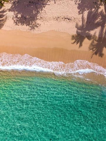 23A BREÑAS ESTATES, Dorado, PR 00646