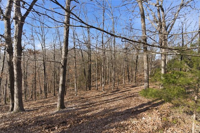 Tract 4 1601 Mundell Road, Eureka Springs, AR 72631