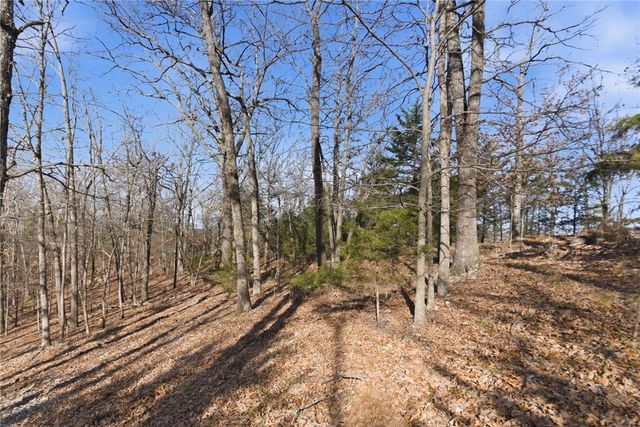 Tract 4 1601 Mundell Road, Eureka Springs, AR 72631