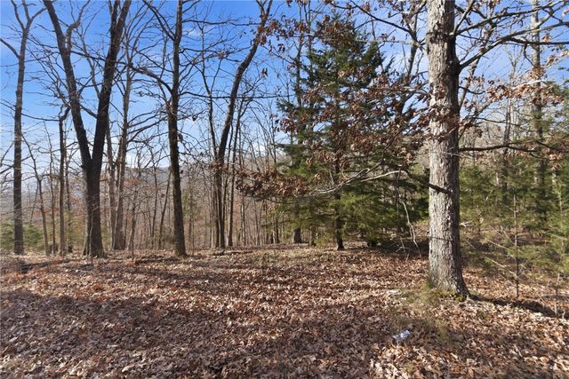 Tract 4 1601 Mundell Road, Eureka Springs, AR 72631