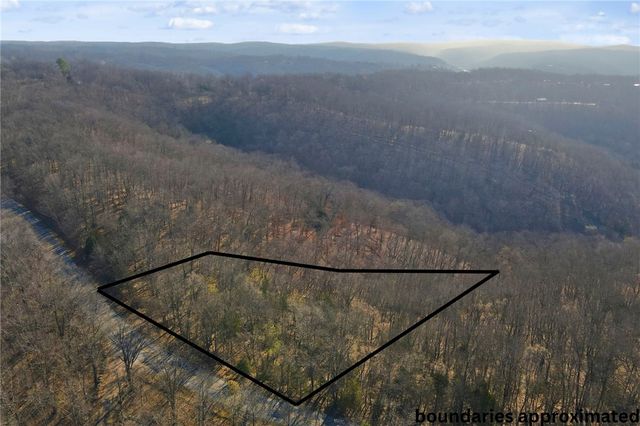 Tract 4 1601 Mundell Road, Eureka Springs, AR 72631