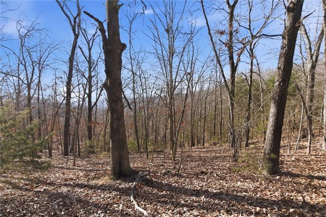 Tract 4 1601 Mundell Road, Eureka Springs, AR 72631