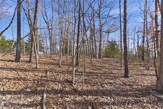 Tract 4 1601 Mundell Road, Eureka Springs, AR 72631