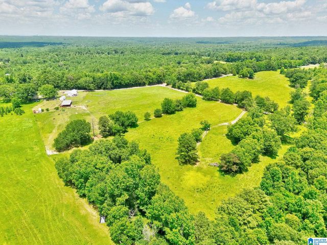 291 COUNTY ROAD 729, Jemison, AL 35085