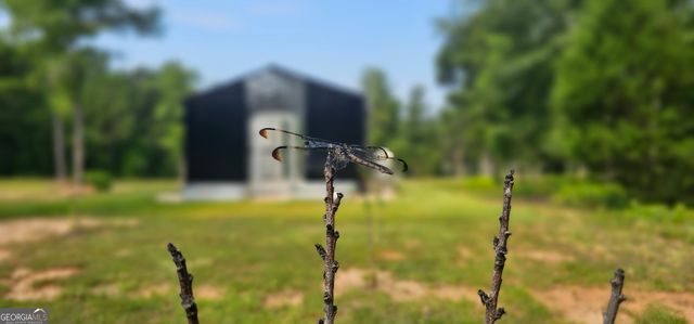 654, LOT 66, 67 Liberty Hill Rd, Milner, GA 30257
