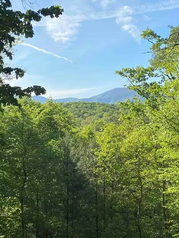 49 Emmaus Walk, Blue Ridge, GA 30513