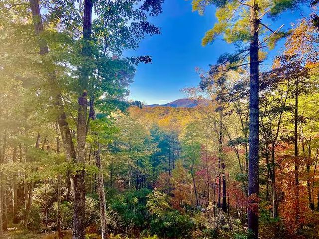 49 Emmaus Walk, Blue Ridge, GA 30513