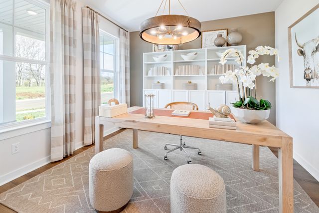 317 Black Bear Dr, Mount Pleasant, TN 38474