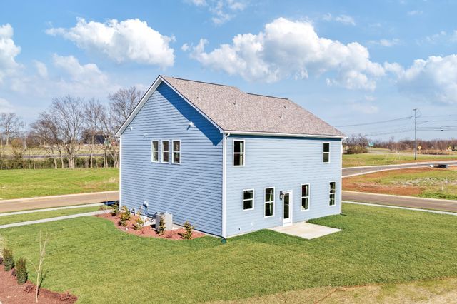 317 Black Bear Dr, Mount Pleasant, TN 38474