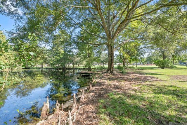 35013 J W Hall Rd, Walker, LA 70785