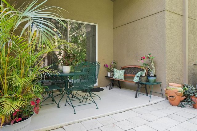10446 LUCAYA DRIVE, Tampa, FL 33647