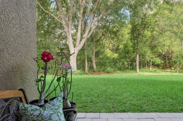 10446 LUCAYA DRIVE, Tampa, FL 33647