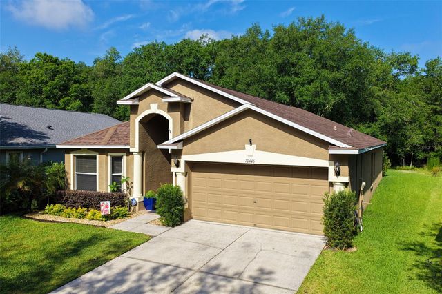 10446 LUCAYA DRIVE, Tampa, FL 33647