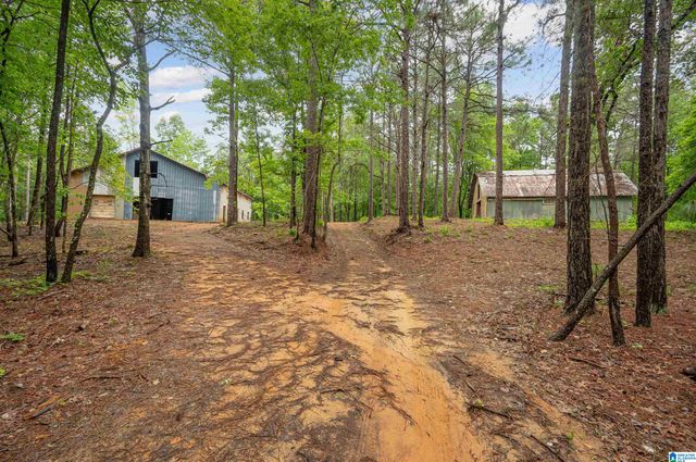 268 NICHOLS ROAD, Chelsea, AL 35043