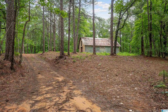 268 NICHOLS ROAD, Chelsea, AL 35043