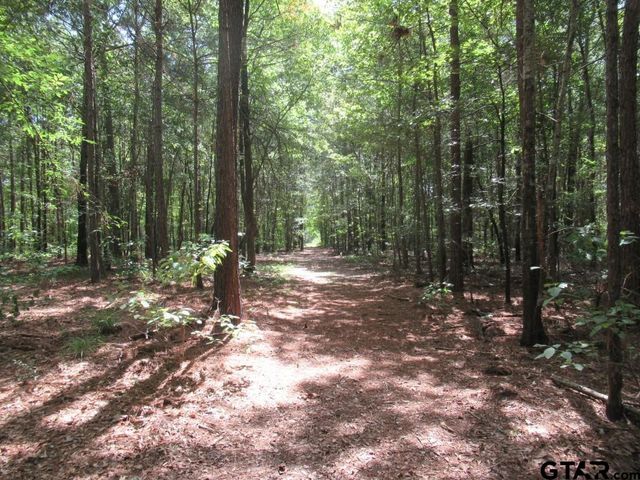 16.12 AC FM 757, Winona, TX 75792