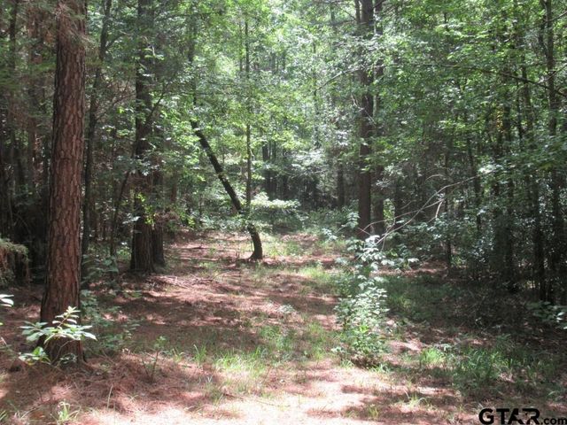 16.12 AC FM 757, Winona, TX 75792
