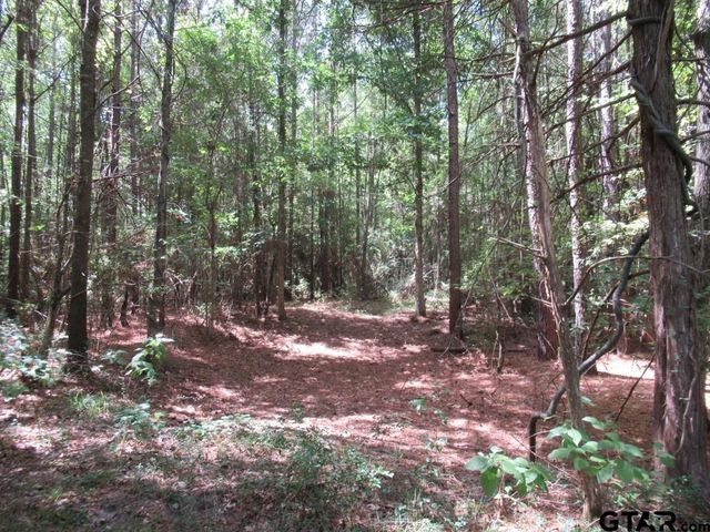 16.12 AC FM 757, Winona, TX 75792