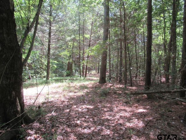 16.12 AC FM 757, Winona, TX 75792