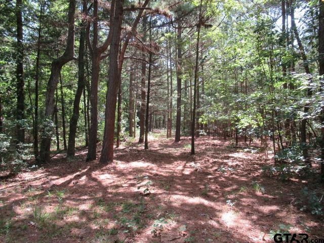 16.12 AC FM 757, Winona, TX 75792