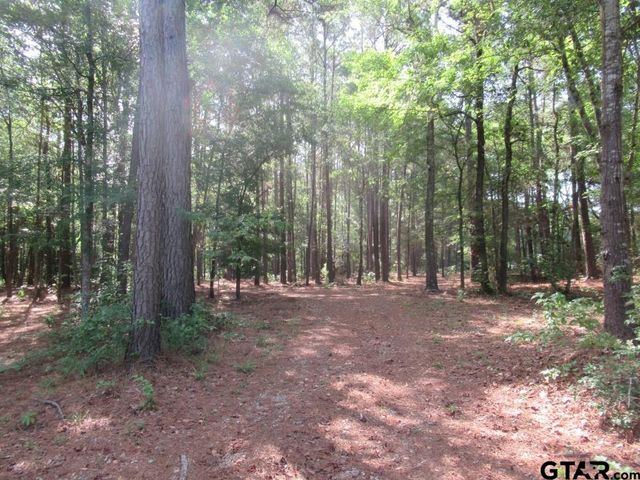 16.12 AC FM 757, Winona, TX 75792