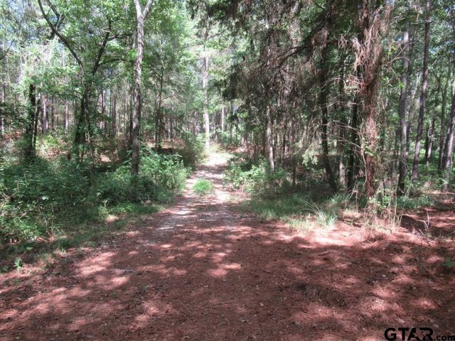 16.12 AC FM 757, Winona, TX 75792