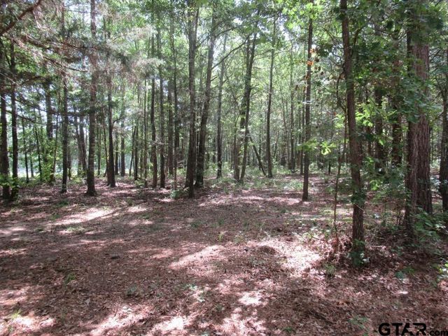 16.12 AC FM 757, Winona, TX 75792