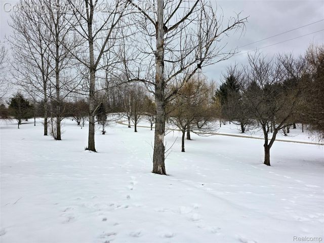 6189 Willits Road, Marathon Township, MI 48435