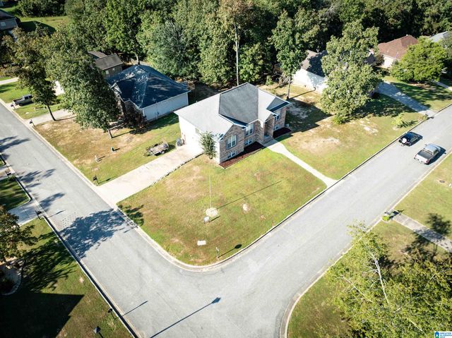 217 TWIN RIDGE CIRCLE, Lincoln, AL 35096