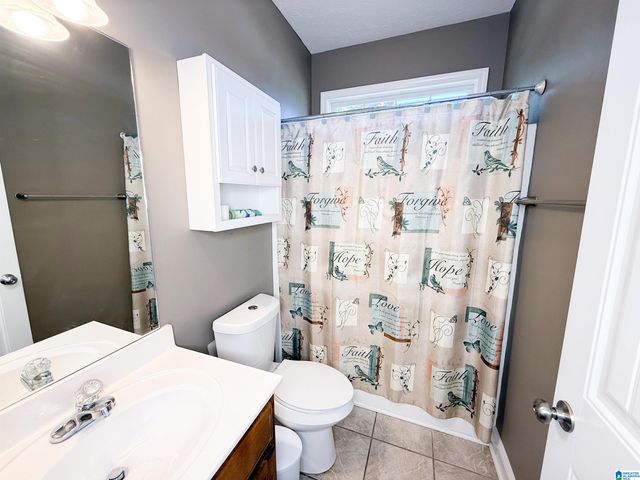 217 TWIN RIDGE CIRCLE, Lincoln, AL 35096