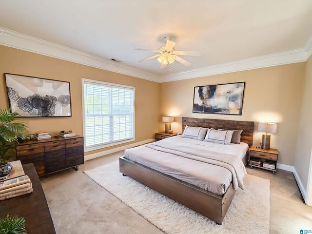 217 TWIN RIDGE CIRCLE, Lincoln, AL 35096